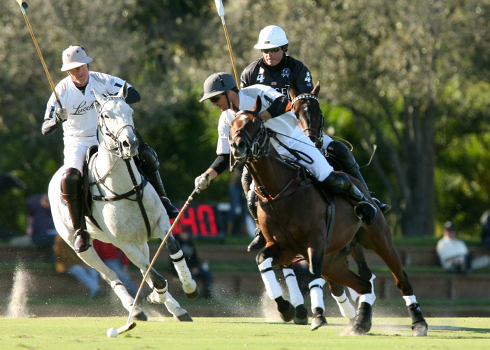 Piaget vs Lucchese