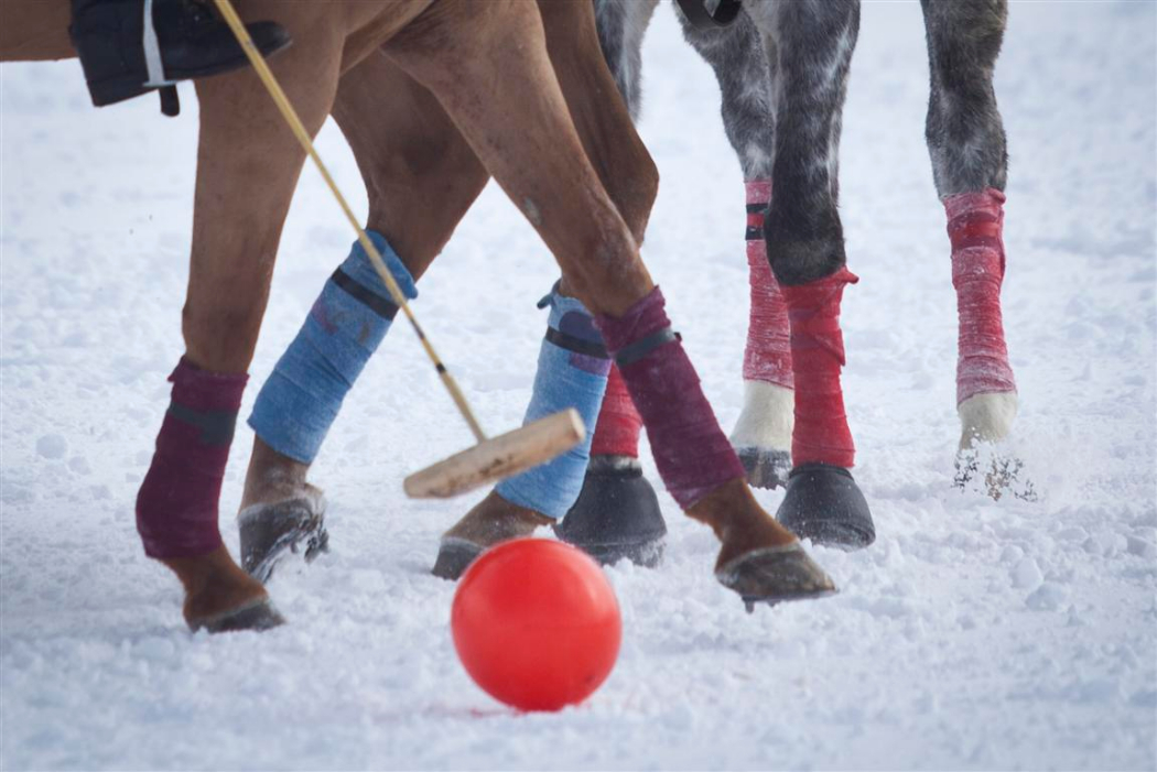 bmw polo masters polo magazine morgane delfosse dimanche 3 f 4