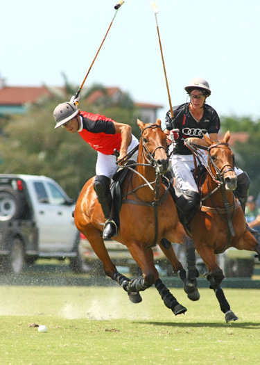 Photos-Audi vs. Alegria-Gold Cup polo top tournament usa alex pacheco 4