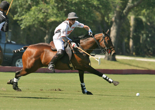 alexpacheco polo photos polo teams erg ipc polo club florida 6
