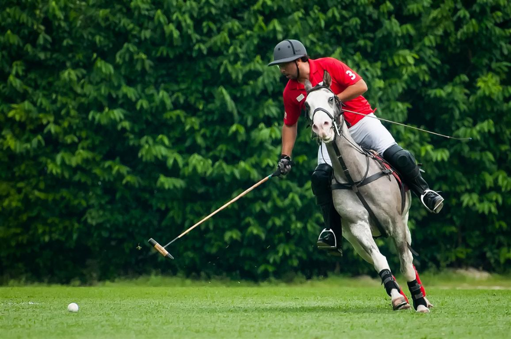 23 Diplomats Cup Miguel Diaz