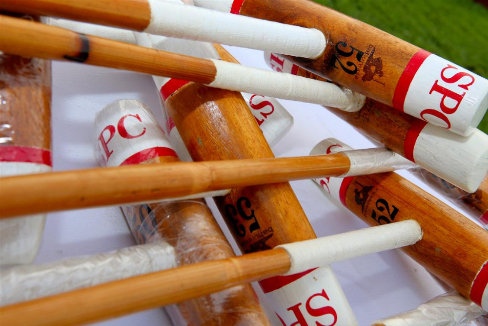 74 Prizes by Bahureksa Polo Intl