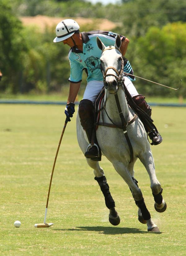 USPA Sun Cup-photos by Alex Pacheco   Palm House vs. Longfield