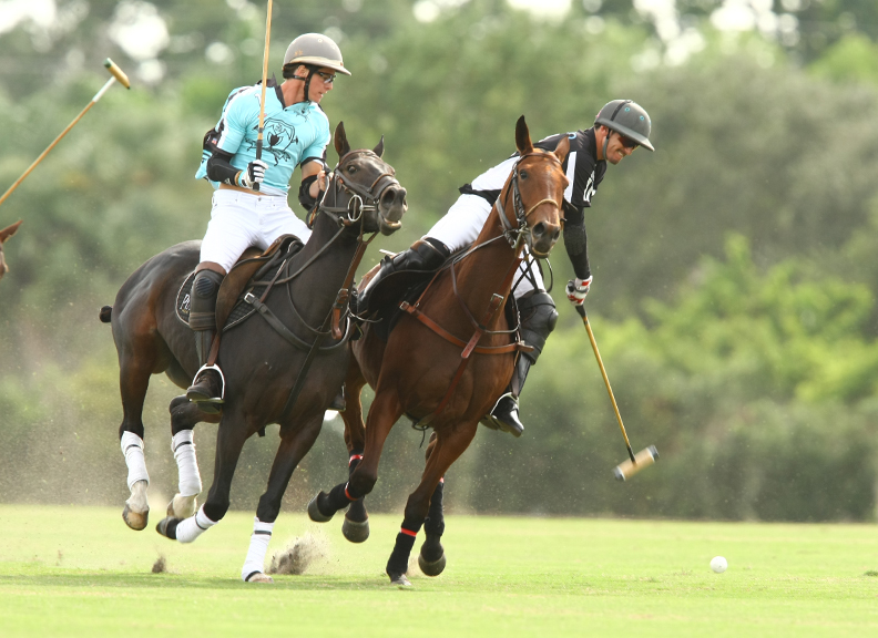 polomagazinepachecopolophotosfallplatepolousapolotournament 4