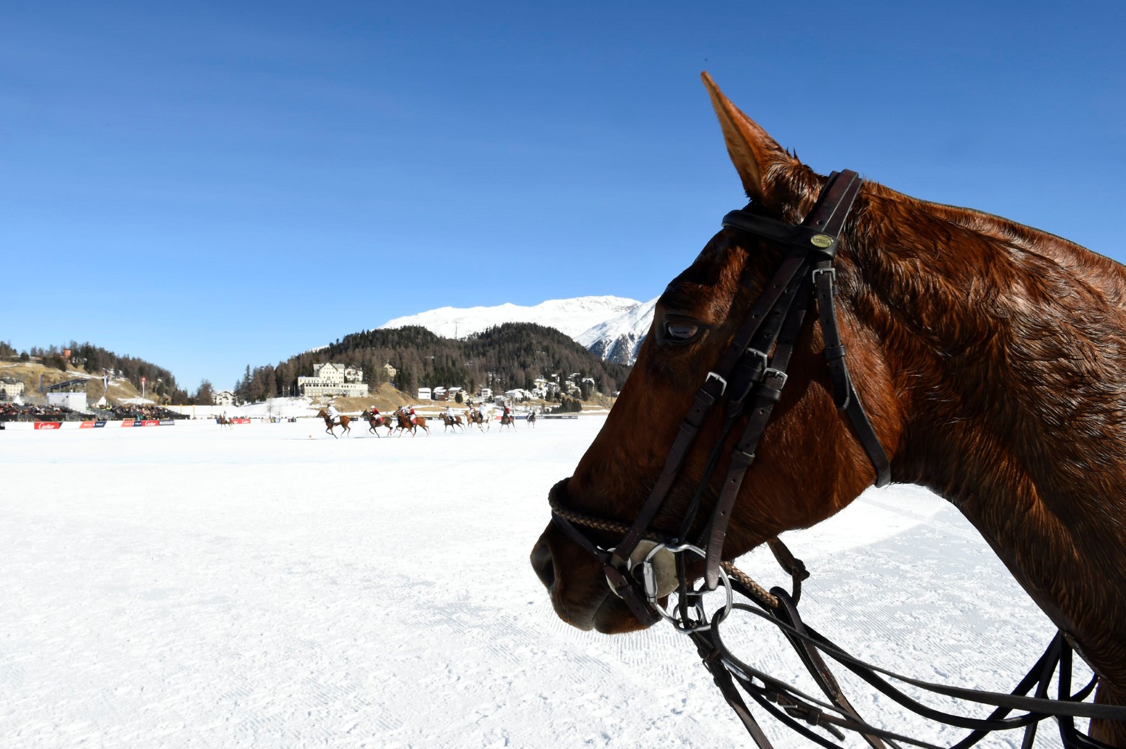 32412265182 547f428c7e k