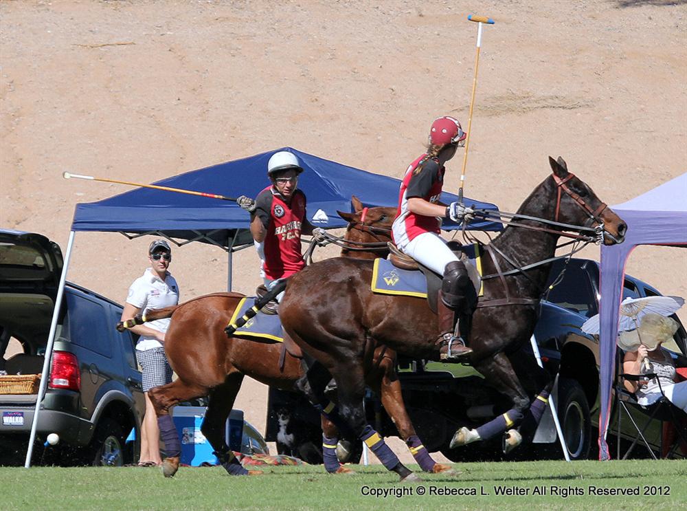 POLO Magazine Scottsdale RLW 8799