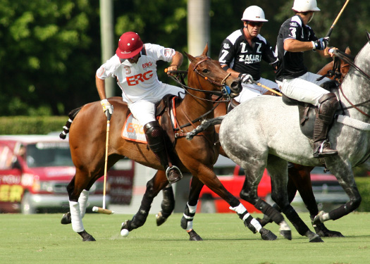 polomagusopensemi zacara erg polo team florida ipc 3