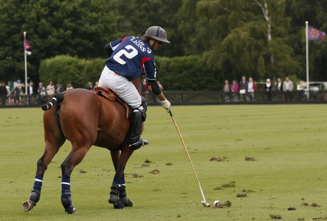 les lions polo team polo cartier queens cup 2013 celine genonceau polo magazine 8