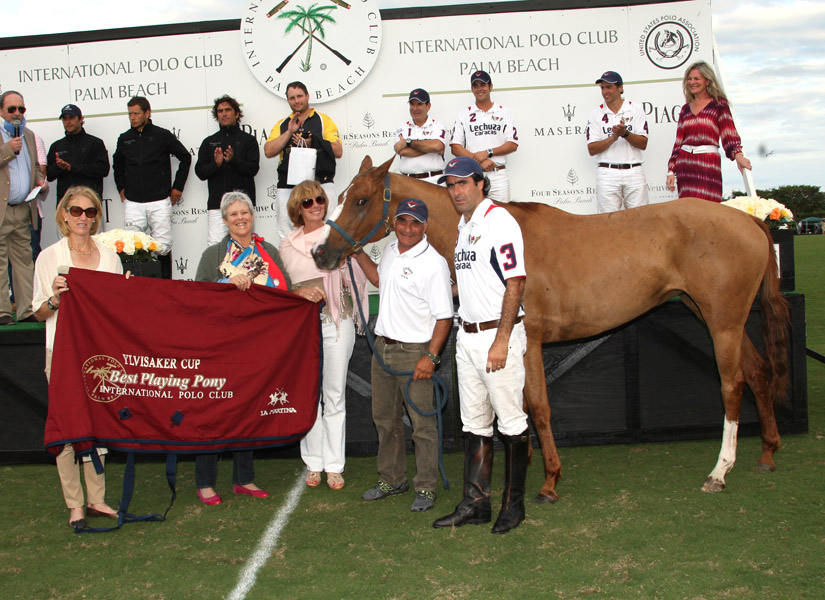 PhotosLechuza Caracas Faraway polomagazine 2