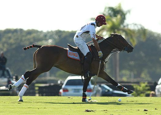 zorzal poloteam erg polo team us  open polo championships polo magazine alex pacheco 6